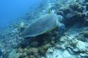 DSC00335.JPG