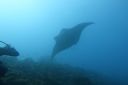 DSC00341.JPG