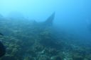DSC00342.JPG