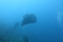 DSC00354.JPG