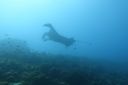 DSC00356.JPG