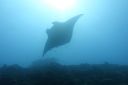 DSC00358.JPG