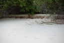 DSC00375.JPG