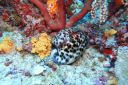 DSC00434.JPG