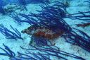 DSC00438.JPG