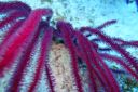DSC00439.JPG
