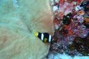 DSC00440.JPG