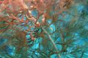 DSC00442.JPG