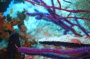 DSC00446.JPG