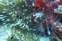 DSC00452.JPG