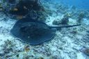 DSC00455.JPG