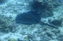 DSC00456.JPG