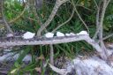 DSC00458.JPG