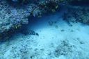 DSC00469.JPG