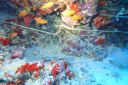 DSC00476.JPG