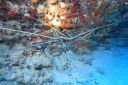DSC00479.JPG