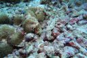 DSC00486.JPG