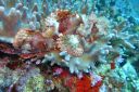 DSC00492.JPG