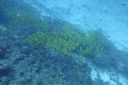 DSC00514.JPG
