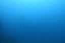 DSC00517.JPG