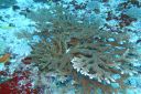 DSC00524.JPG