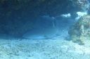 DSC00533.JPG