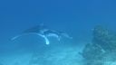 DSC00536.JPG