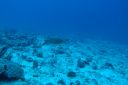 DSC00655.JPG