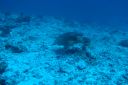 DSC00657.JPG