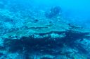 DSC00659.JPG