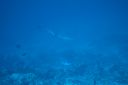 DSC00660.JPG