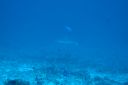 DSC00662.JPG