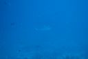 DSC00663.JPG