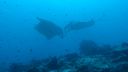 DSC00674.JPG