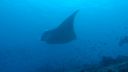 DSC00675.JPG