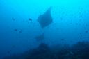DSC00678.JPG