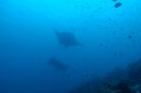 DSC00679.JPG