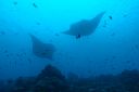 DSC00680.JPG