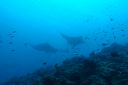 DSC00683.JPG