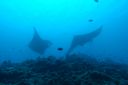 DSC00686.JPG