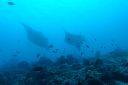 DSC00687.JPG