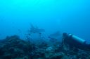 DSC00691.JPG