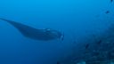DSC00696.JPG