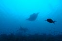 DSC00700.JPG