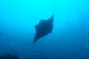 DSC00703.JPG