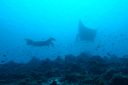 DSC00704.JPG