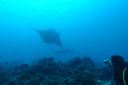 DSC00706.JPG