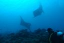 DSC00707.JPG