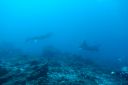 DSC00713.JPG