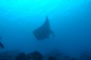 DSC00715.JPG